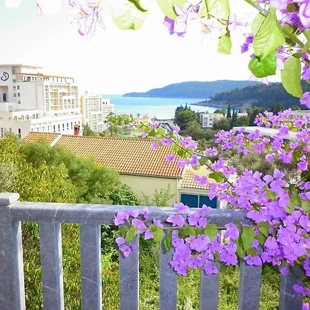 Desa Budva